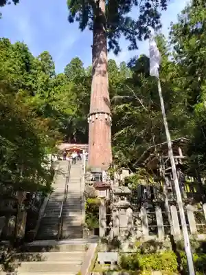 由岐神社(京都府)