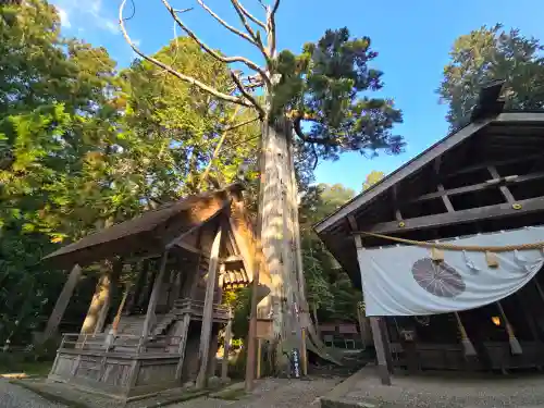 元伊勢内宮 皇大神社(京都府)