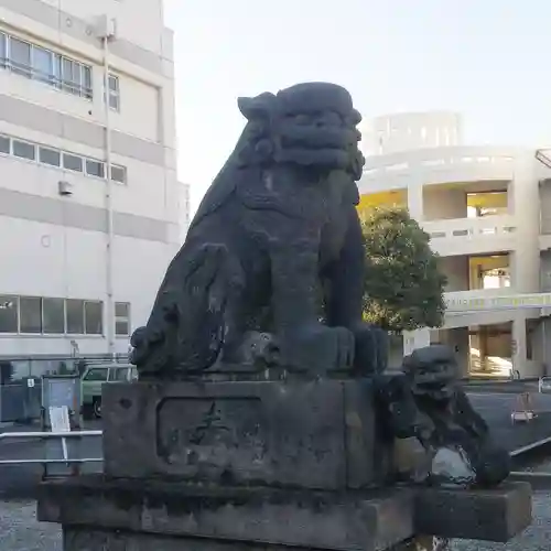 小松川神社の狛犬