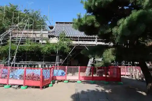 葛井寺(大阪府)