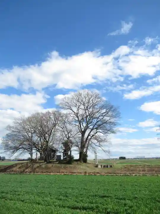 神明神社(千葉県)