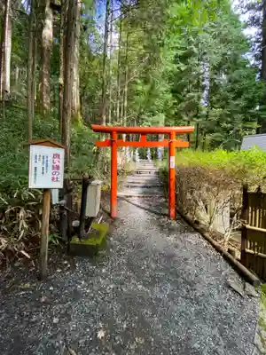 日光二荒山神社(栃木県)