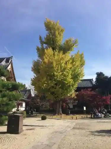 永保寺の庭園