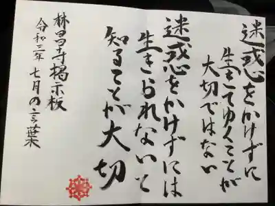 迷惑をかけずに生きてゆくことが大切ではない
　迷惑をかけずには生きられないと知ることが大切