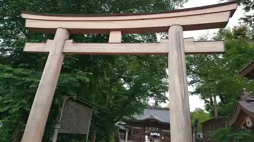 須賀神社の鳥居