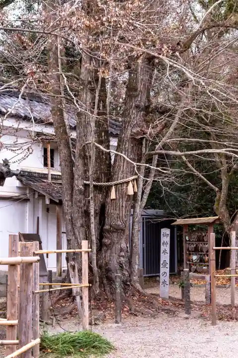 梨木神社(京都府)