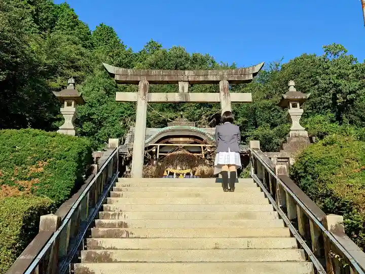 池原神社の鳥居