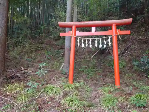 浅間神社(埼玉県)