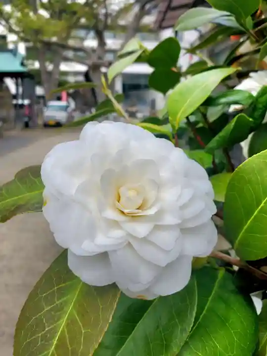阿邪訶根神社(福島県)