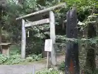 石楯尾神社の鳥居