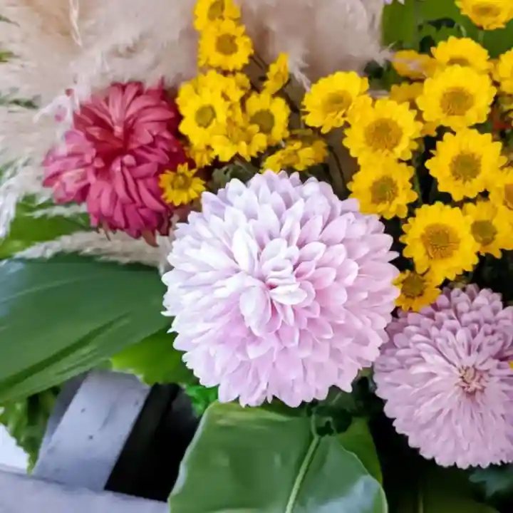彌彦神社 (伊夜日子神社)(北海道)