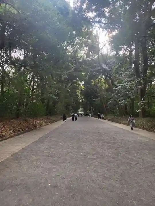 明治神宮(東京都)