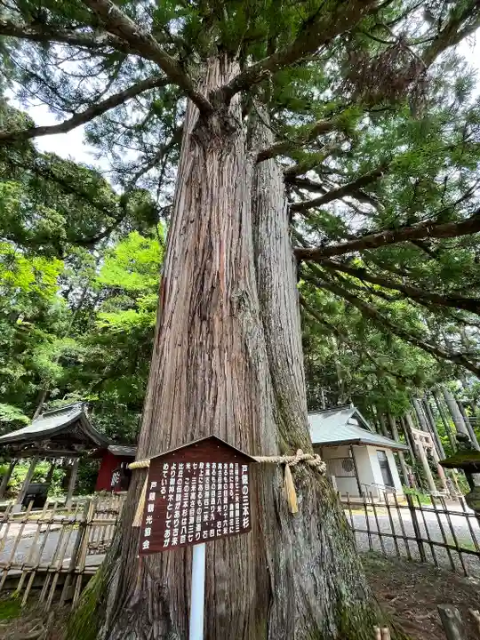 戸隠神社中社(長野県)