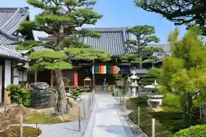 圓通寺(香川県)(2023年01月27日(金) 14時22分59秒投稿)