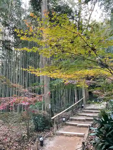 教林坊(滋賀県)