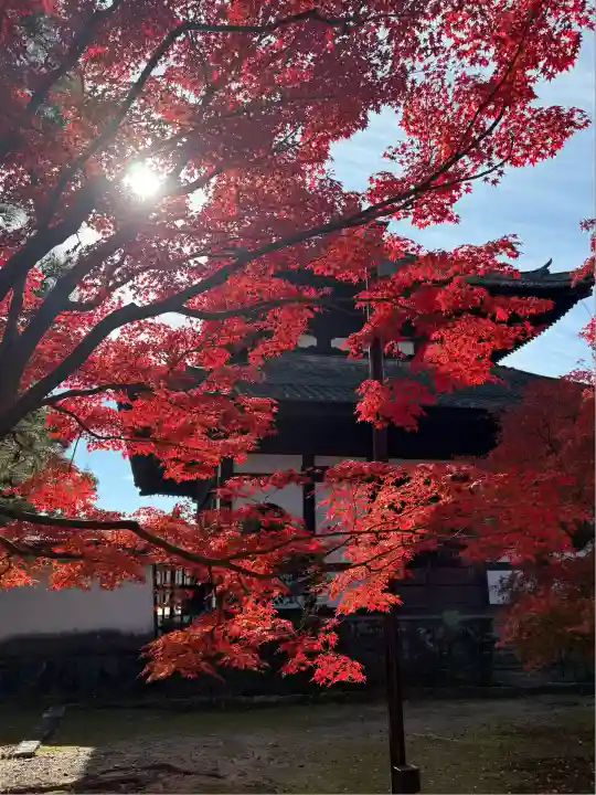 東福禅寺(東福寺)(京都府)