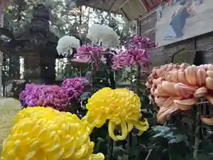 大宮温泉神社(栃木県)(2022年11月09日(水) 07時57分54秒投稿)