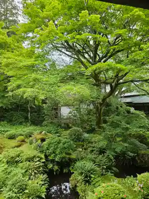 三千院門跡(京都府)