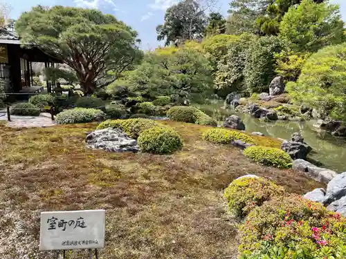 城南宮の庭園