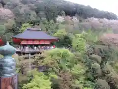 清水寺(京都府)