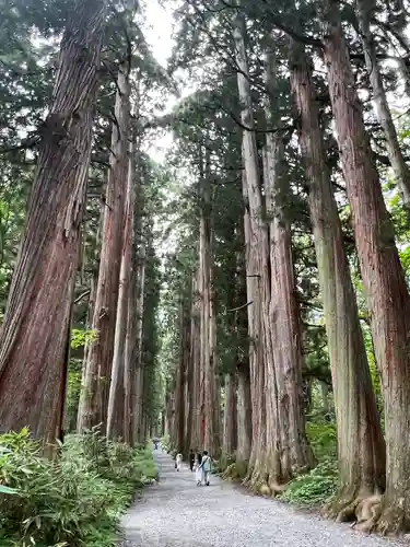 戸隠神社奥社(長野県)