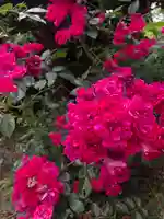 東蕗田天満社の自然