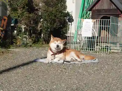 母智丘神社(東京都)