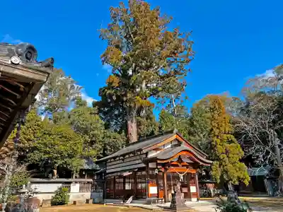 比自岐神社の本殿・本堂