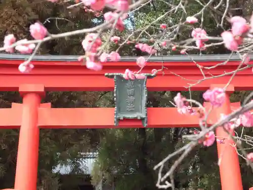 祝田神社の鳥居