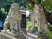 旗岡八幡神社の狛犬