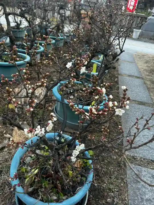 蒲田神社(大阪府)