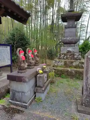 医光寺(群馬県)