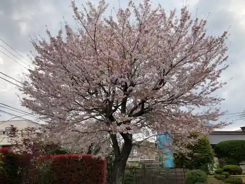 東光寺(神奈川県)