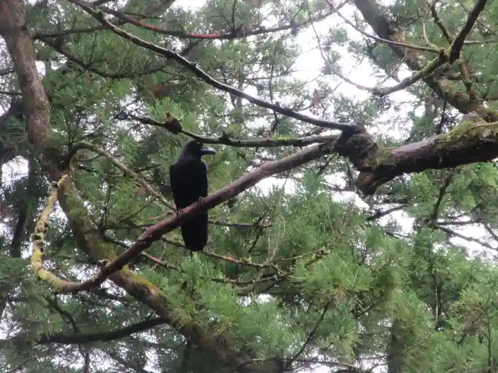 日光東照宮(栃木県)