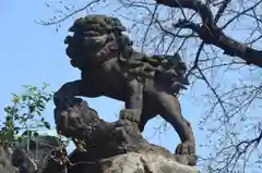 神田神社（神田明神）の狛犬