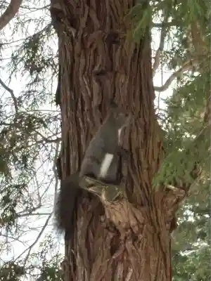 由仁神社(北海道)