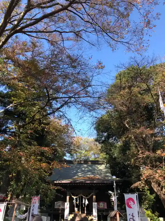 馬場氷川神社の本殿・本堂