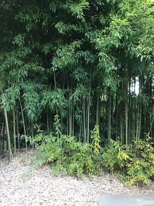 円応寺のその他建物