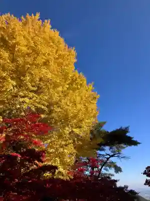大山寺(神奈川県)