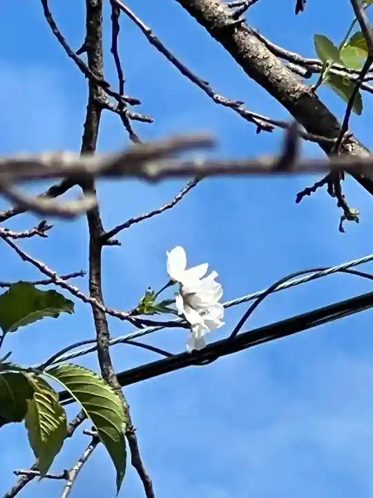 加佐美神社(岐阜県)