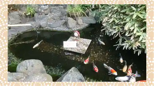 櫻木神社(千葉県)