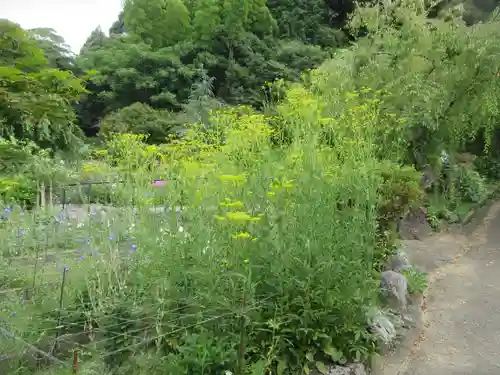香勝寺(静岡県)