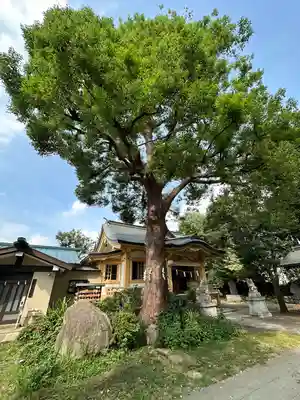 若宮神社(東京都)