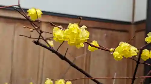 勝林寺(京都府)