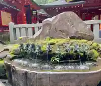 九頭龍神社新宮の{uncategorized: "未分類", other: "その他", undefined: "問題あり", building: "その他建物", grave: "お墓", sacred_gate: "鳥居", guardian: "狛犬", statue: "像", buddha: "仏像", history: "歴史", nature: "自然", garden: "庭園", animal: "動物", pagoda: "塔", temizu: "手水舎", mountain_gate: "山門・神門", sanctuary: "本殿・本堂", subordinate: "末社・摂社", art: "芸術", scenery: "景色", jizo: "地蔵", ema: "絵馬", goshuin: "御朱印", omikuji: "おみくじ", items: "授与品その他", amulet: "お守り", goshuincho: "御朱印帳", eats: "食事", festival: "お祭り", votive_dance: "神楽", shichigosan: "七五三参", wedding: "結婚式", experience: "体験その他", initially: "初詣", around: "周辺", anti_infection: "感染症対策"}