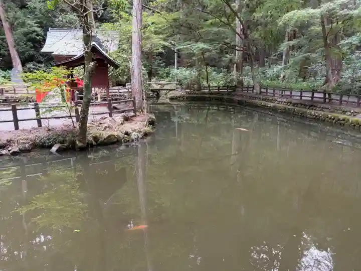 小國神社(静岡県)