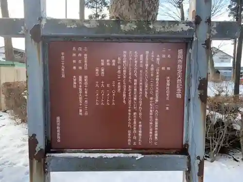 大宮神社の歴史