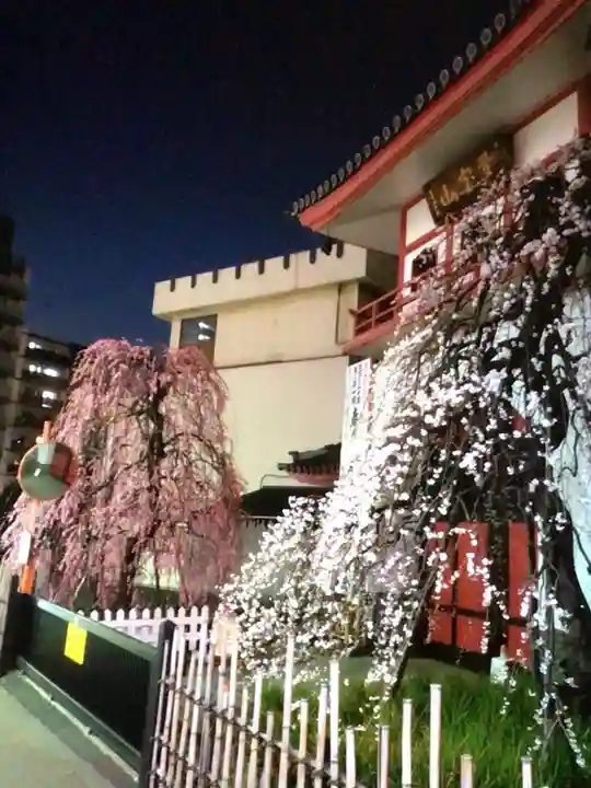 成願寺(東京都)