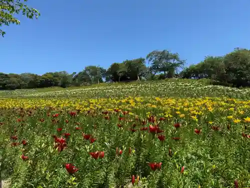 秋葉總本殿可睡斎(静岡県)