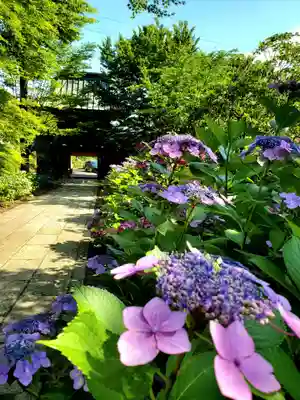 陽林寺(福島県)